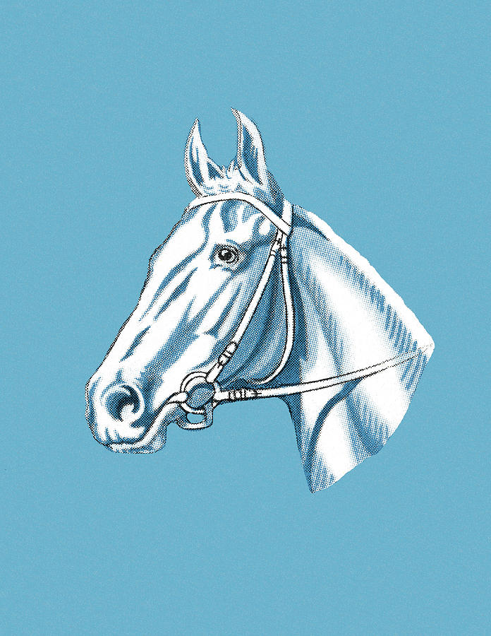Vintage Drawing - Horse on Blue Background by CSA Images