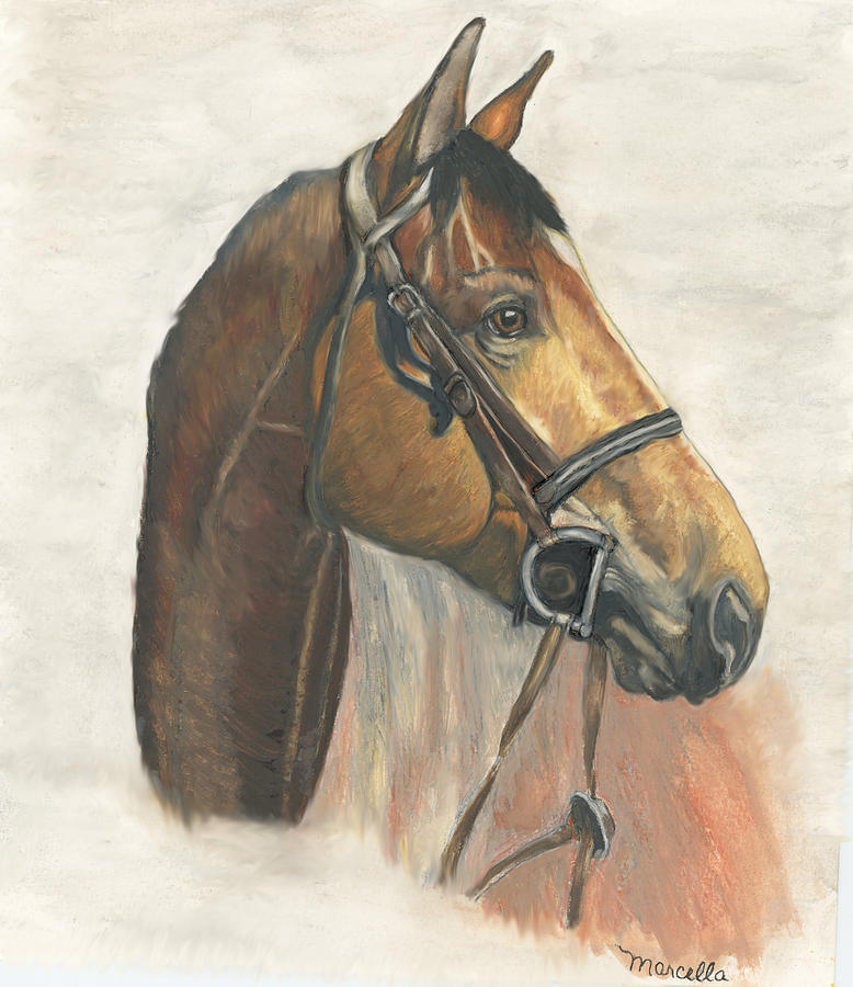 Horse Painting - Horse Portrait by Marcella Chapman
