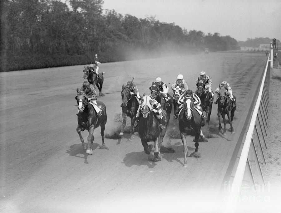 Horse Race At Bellmont Photograph by Bettmann