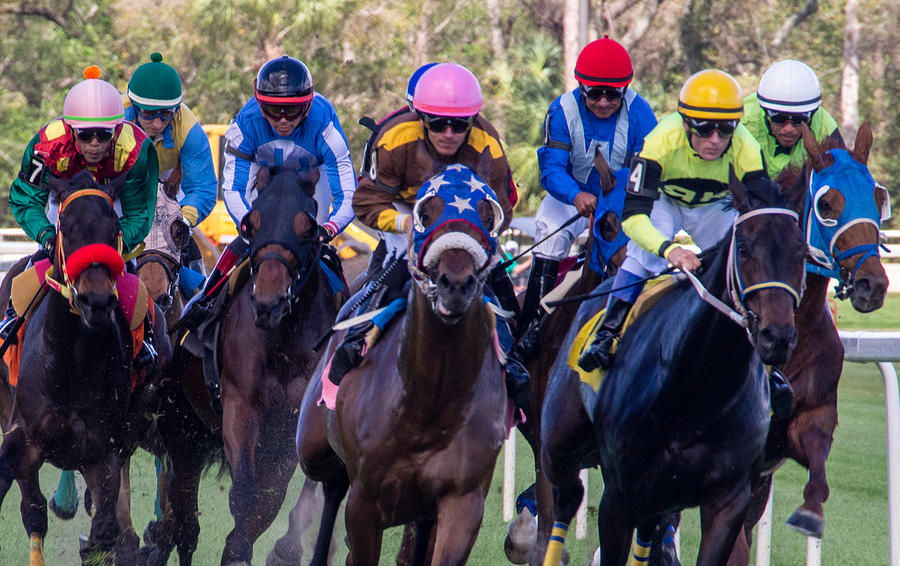 Horse Race Photograph by L Bosco