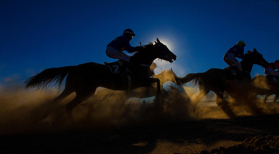 Horse Photograph - Horse Racing Through The Dust by Sharon Lee Chapman