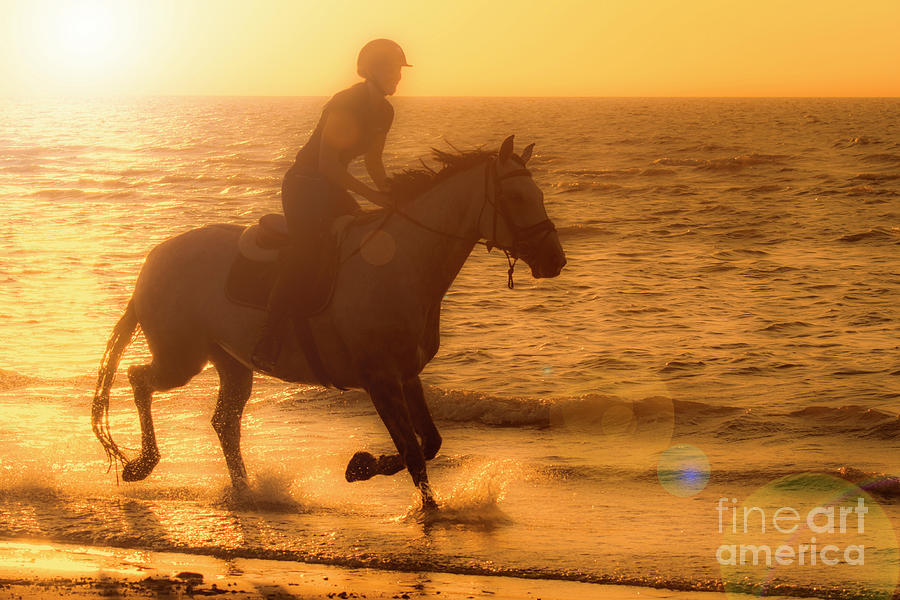 Horse Riding at Sunset Photograph by Arterra Picture Library