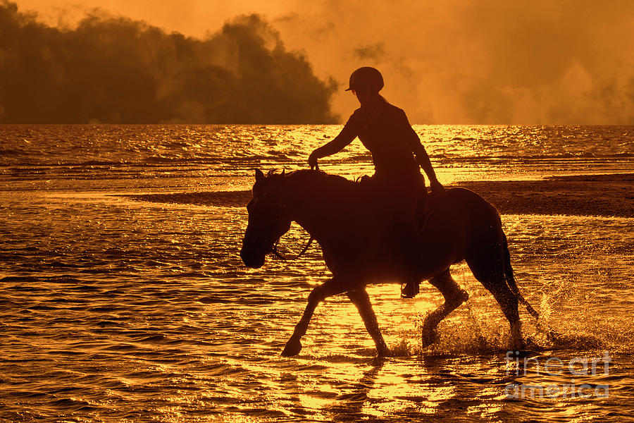 Horse Riding in Sea at Sunset Photograph by Arterra Picture Library