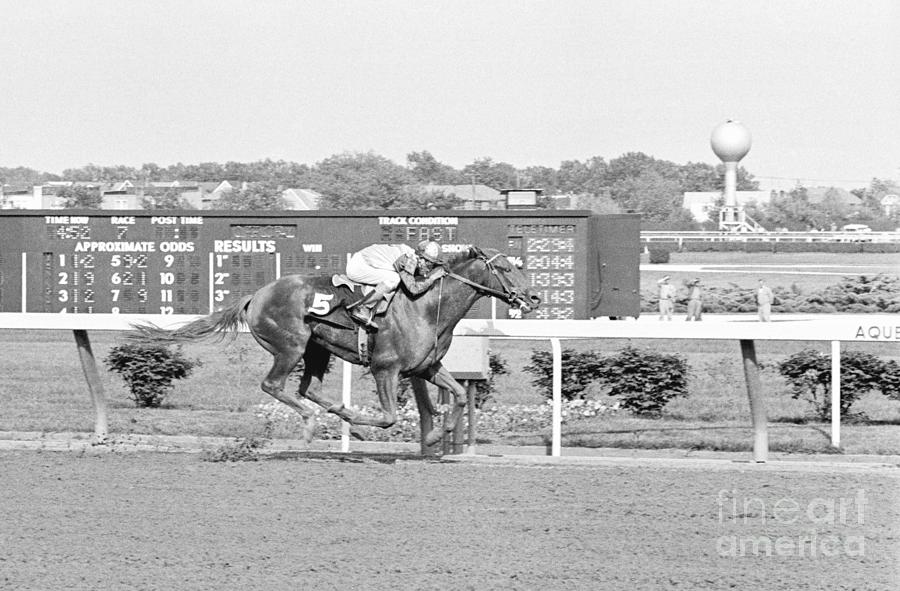 Horse Running In Belmont Stakes Photograph by Bettmann
