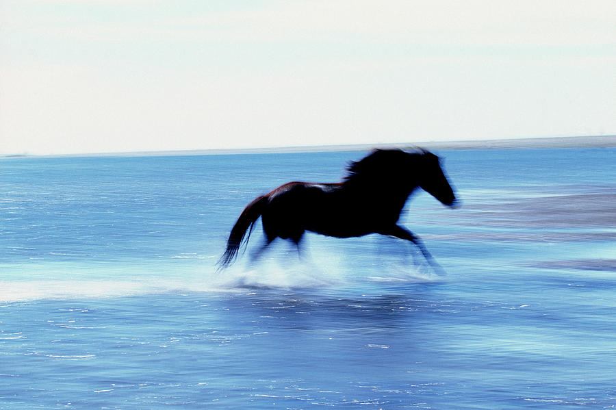 Horse Running On Beach, Iceland Digital Art by Guido Cozzi