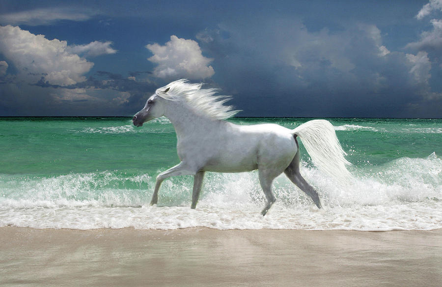 Horse Running Through Surf Digital Art by Gerard Fritz