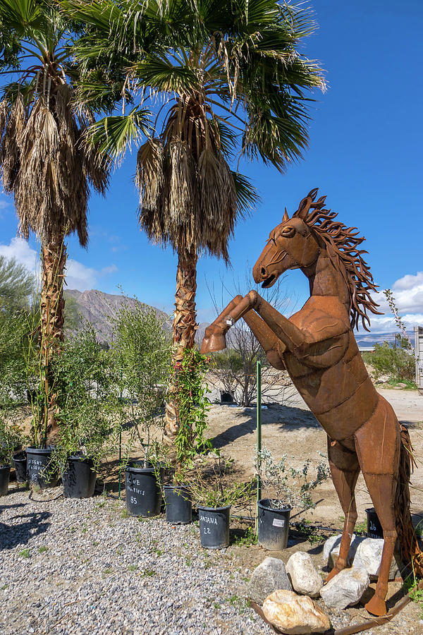 Horse Sculpture, Borrego Springs, Ca Digital Art by Angela Pagano