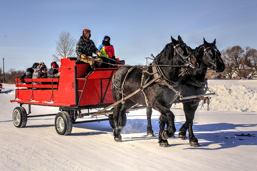 Horse sleigh rides Photograph by David Matthews
