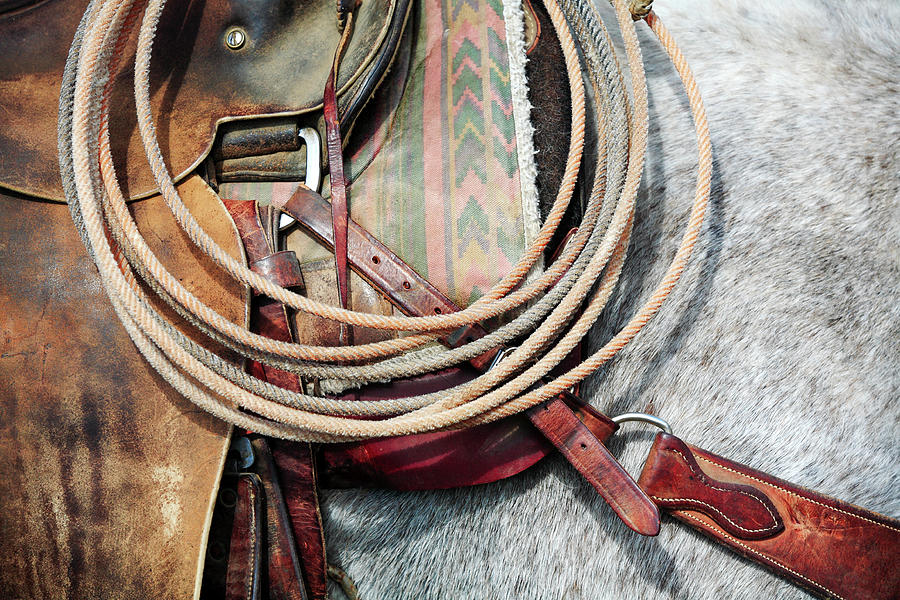 Horse Tack Photograph by Todd Klassy