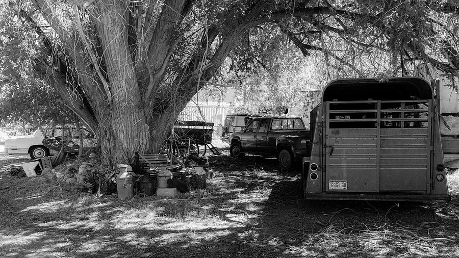 Horse Trailers In Cortez Colorado, Usa Photograph by Panoramic Images