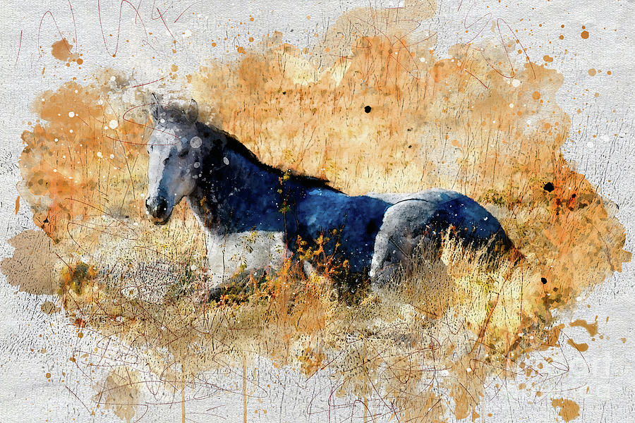 Horse Watercolor Digital Art by Mark Jackson