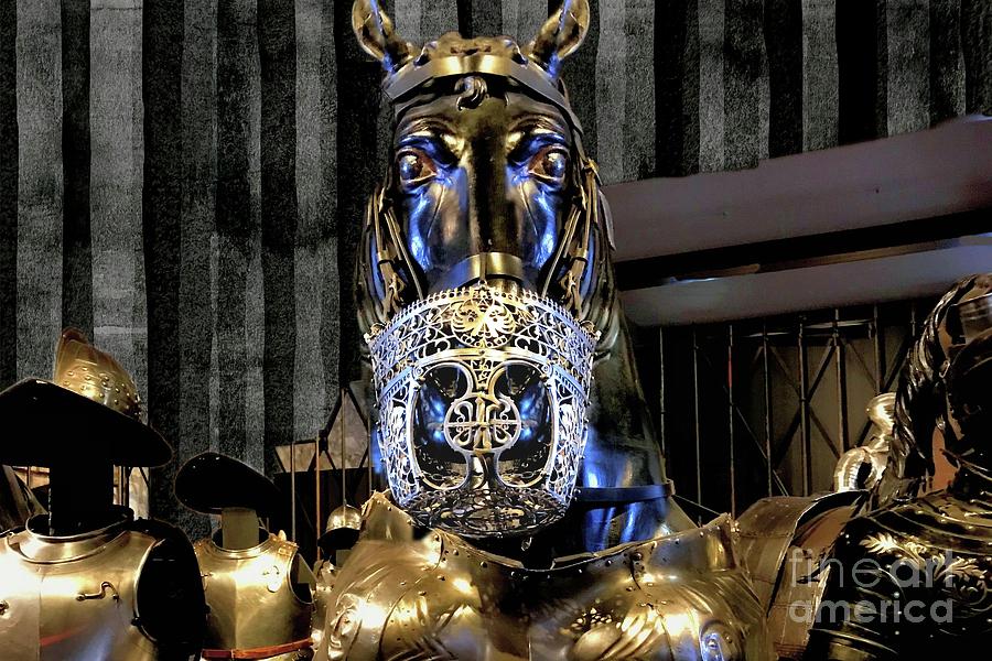 Horse with Silver Armor Photograph by Janette Boyd