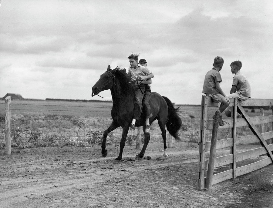 Black And White Photograph - Horseback Riding by Alfred Eisenstaedt