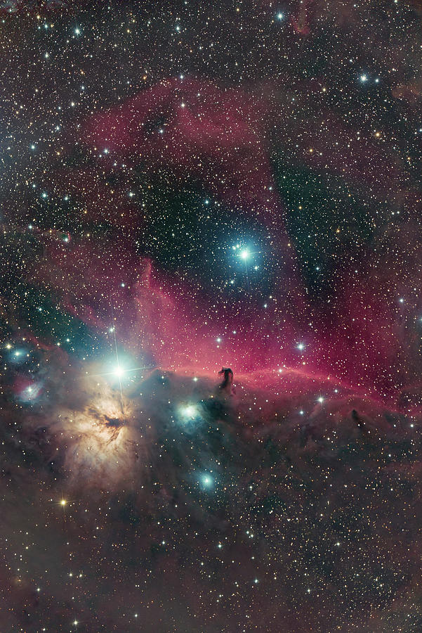 Horsehead Nebula And Flame Nebula Photograph by Reinhold Wittich