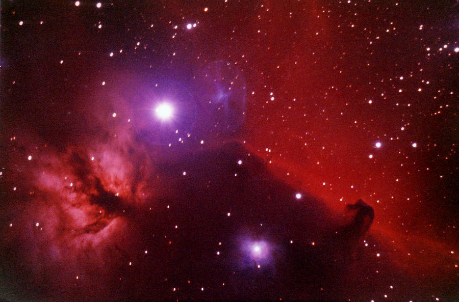 Horsehead Nebula In The Belt Of Orion Photograph by A. V. Ley