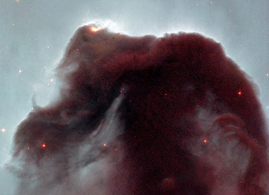 Horsehead Nebula Photograph by Nasa/esa/stsci/hubble Heritage Team/ Spl