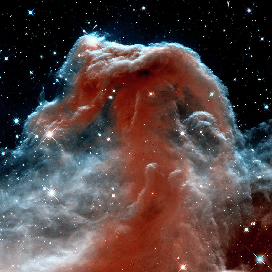 Horsehead Nebula Outer Space Photograph Photograph by Bill Swartwout