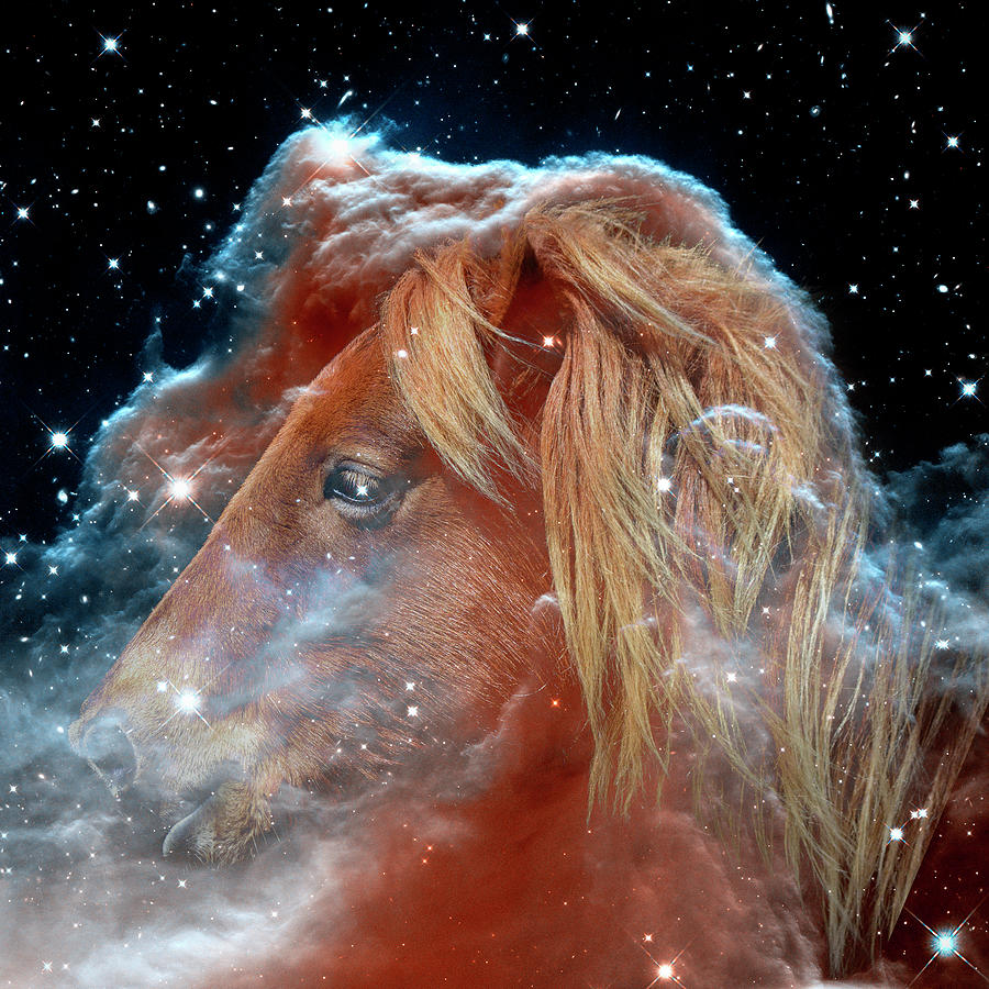 Horsehead Nebula with Horse Head Outer Space Image Photograph by Bill Swartwout