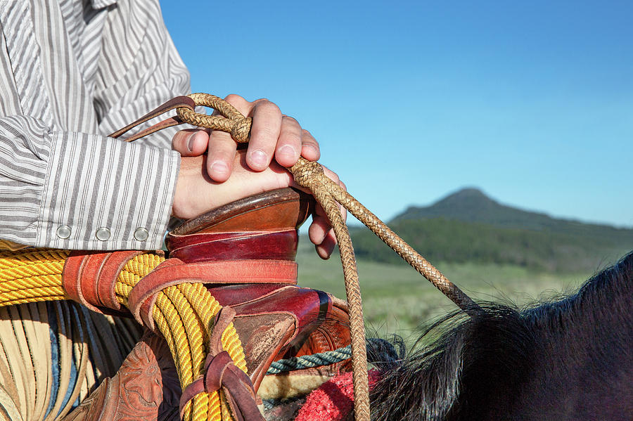 Horsemans Hands Photograph by Todd Klassy