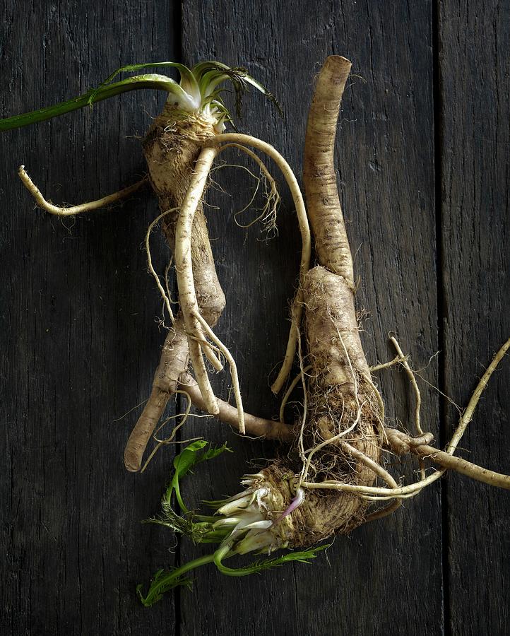 Horseradish Roots On A Wooden Surface seen Above Photograph by Antonis Achilleos