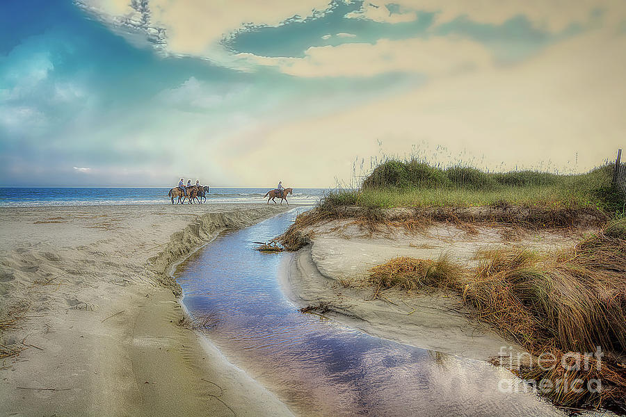 Horses Along The Beach Photograph by Kathy Baccari
