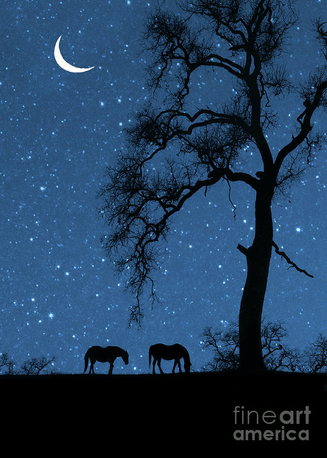 horses-and-starry-night-with-crescent-moon-and-oak-tree-stephanie-laird.jpg