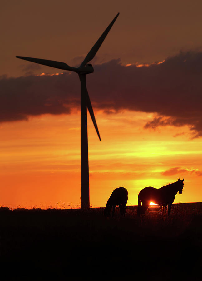 Horses And Wind Turbine At Sunset Digital Art By Henrik Weis Pixels