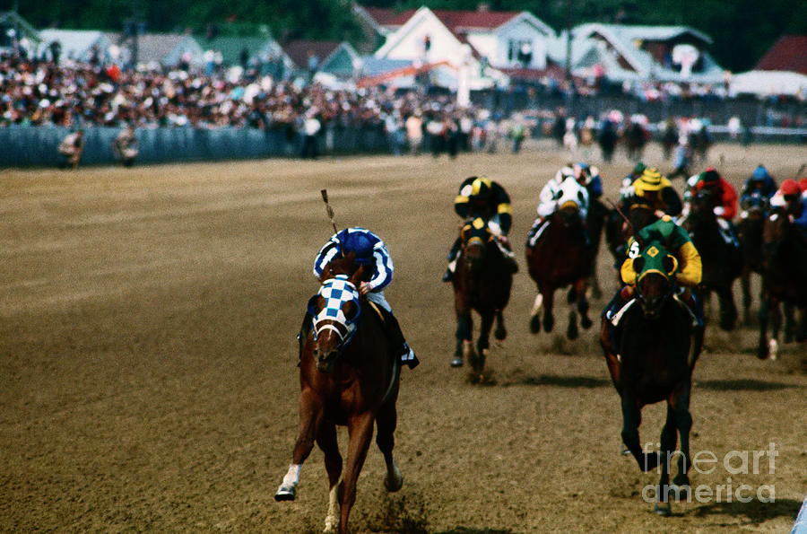 Horses Coming To Finish Line Photograph by Bettmann
