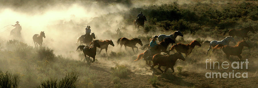 Horses Cowboys And Wranglers Series 3 Photograph by Worldwideimages