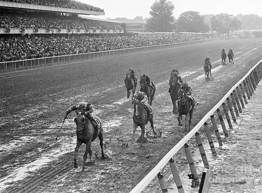 Horses Finishing At Belmont Stakes Photograph by Bettmann