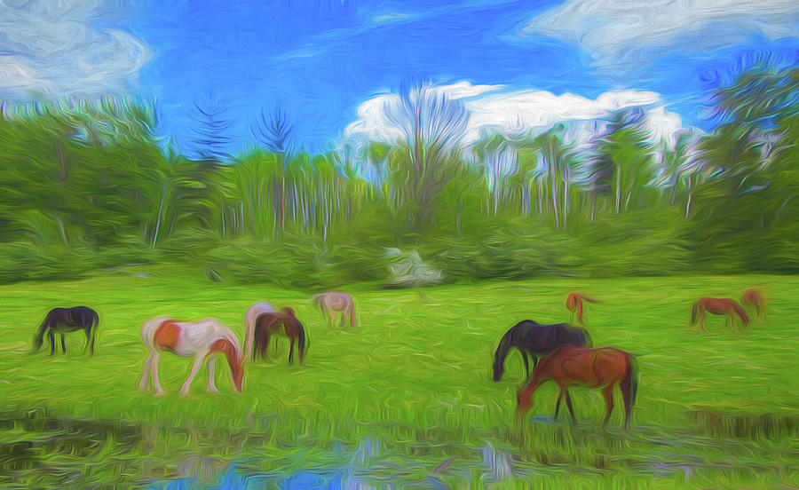 Horses in a Field Digital Art by Rick Deacon Horses in a Field Digital Art by Rick Deacon