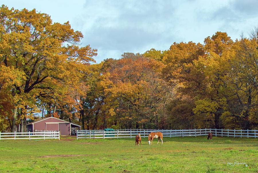 Horses In Autumn Photograph by Ken Figurski