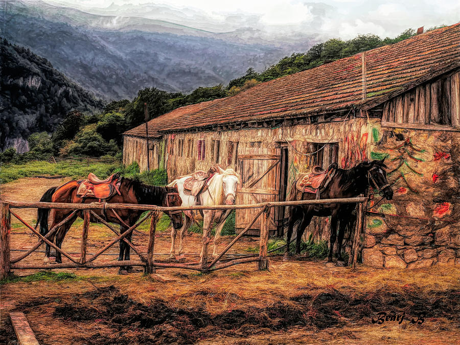 Horses In Corral Photograph