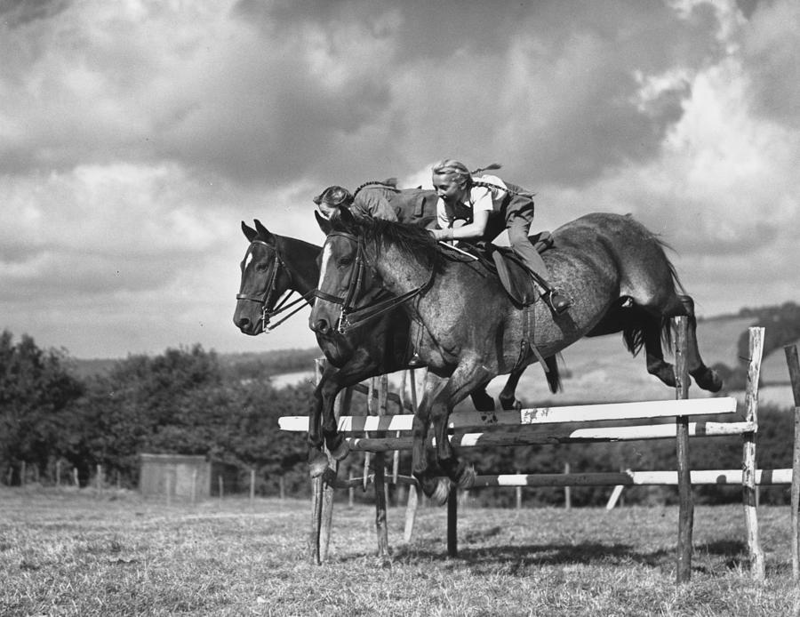 Horses In Harmony Photograph by Reg Speller