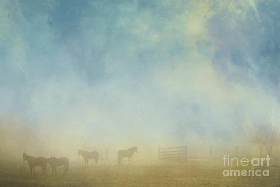 Horses In Morning Fog Photograph