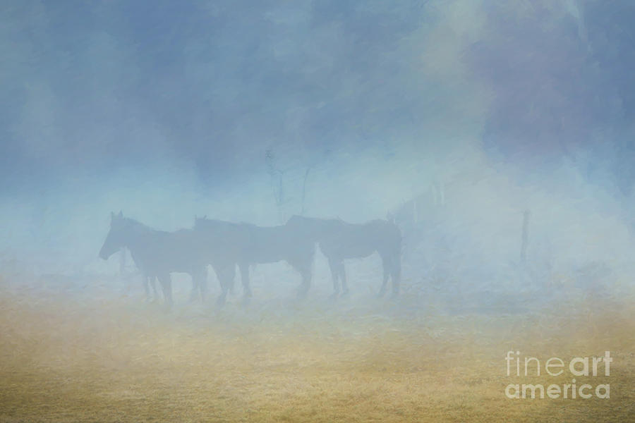 Horses in Morning Fog Two Digital Art by Randy Steele