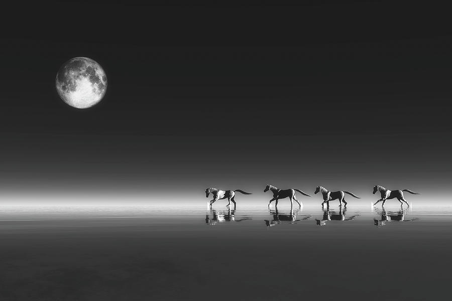 Horses Digital Art by Jan Keteleer