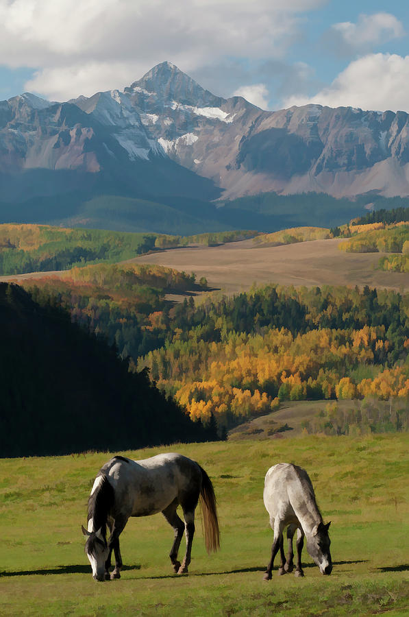 Horses Photograph by Mike Berenson / Colorado Captures