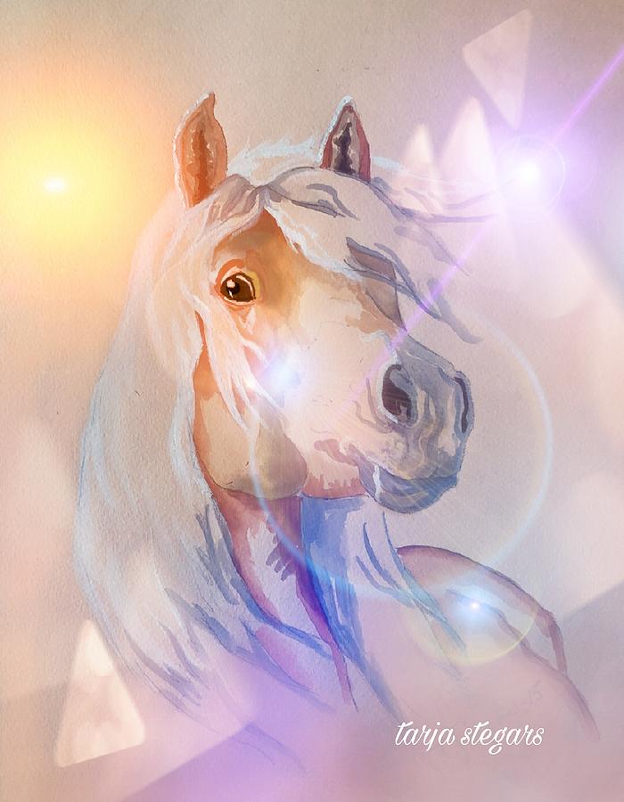 Horses of Light series 3 by Tarja Stegars Horses of Light series 3 by Tarja Stegars