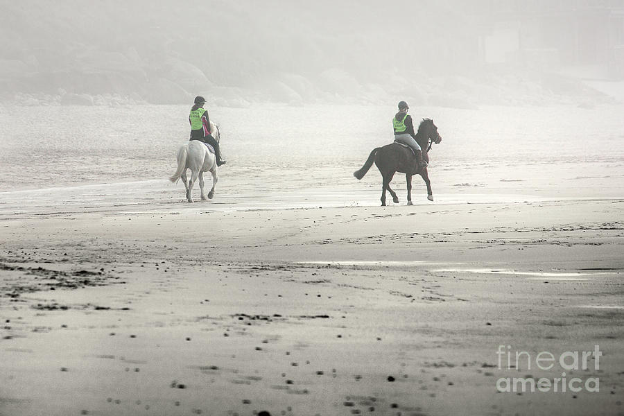 Horses on a Foggy Beach Photograph by Terri Waters