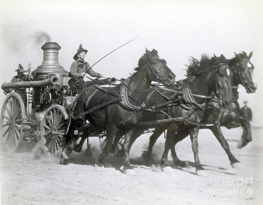 Horses Pulling Fire Wagon Photograph by Bettmann