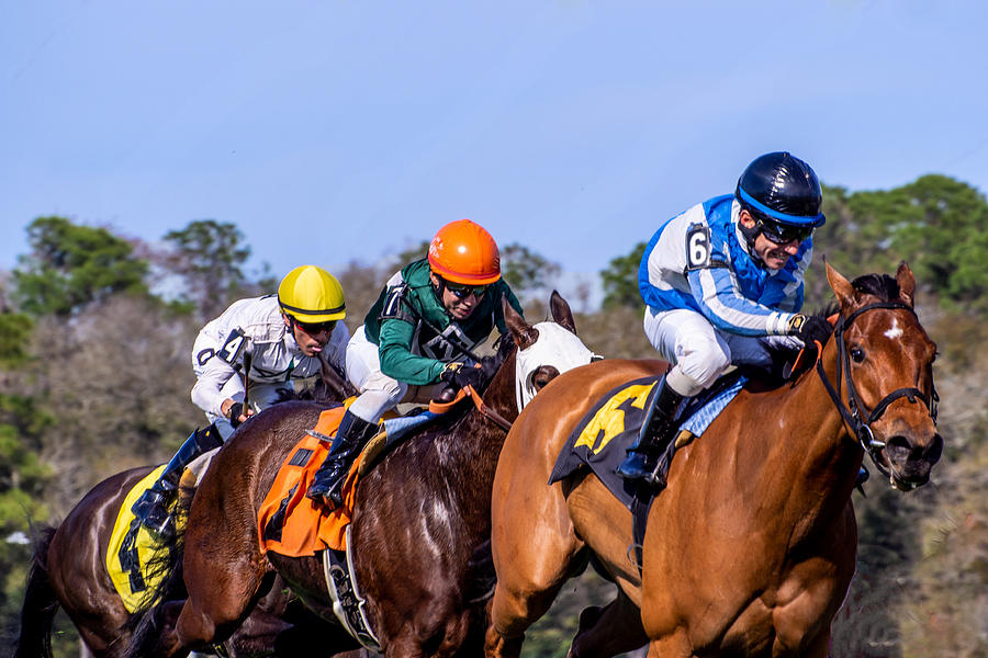 Horses Racing into the Stretch at Tampa Bay Downs Photograph by L Bosco
