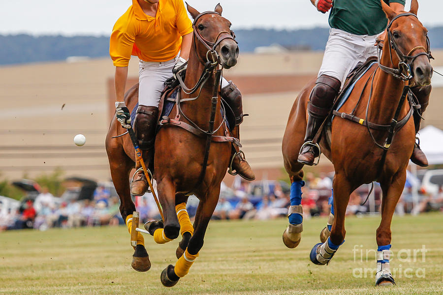 Equestrian Photograph - Horses Running In A Polo Match by Hutch Photography Equestrian Photograph - Horses Running In A Polo Match by Hutch Photography