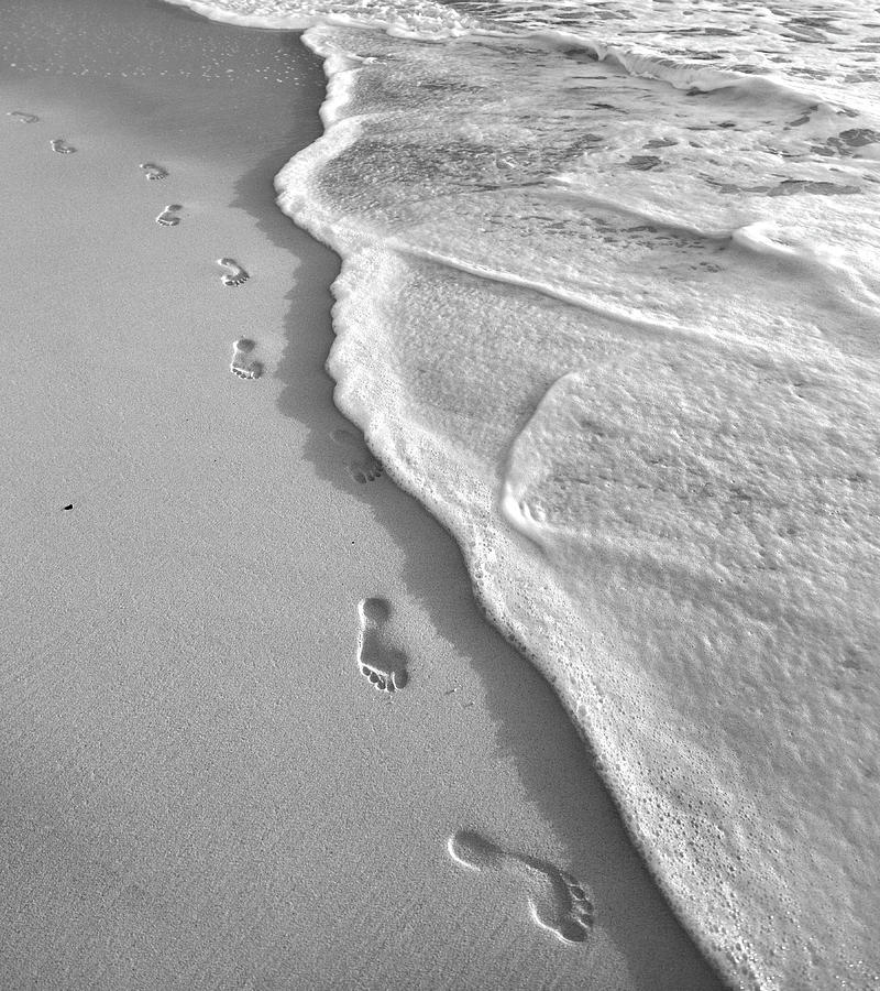 Horseshoe Bay Beach Bermuda Footprints Photograph