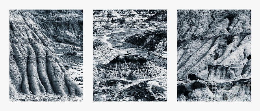 Horseshoe Canyon Triptych Photograph by Alma Danison