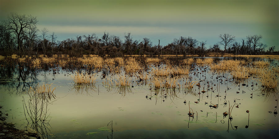 Horseshoe Lake IL-with grunge filter GRK2074_01042019 Photograph by Greg Kluempers