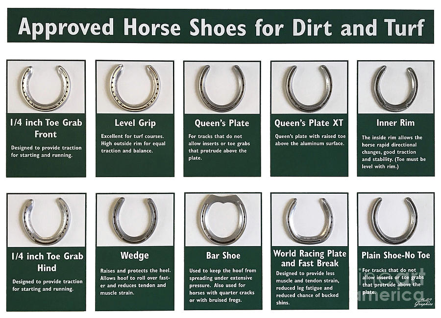 Horseshoes Photograph by CAC Graphics