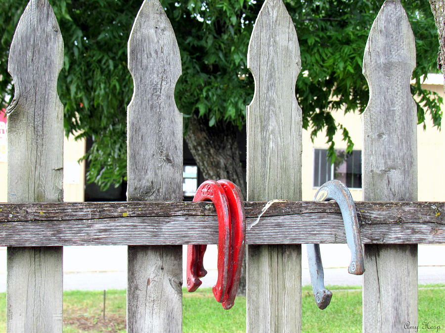 Horseshoes On A Fence Photograph by Amy Hosp