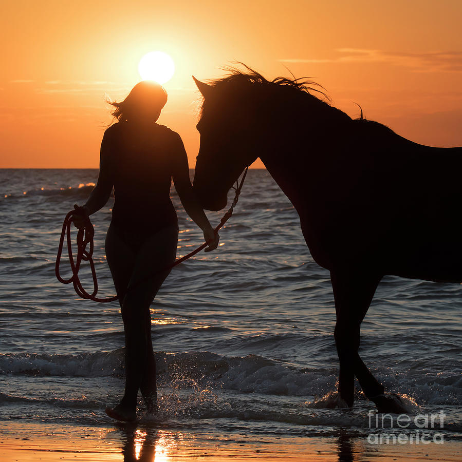 Horsewoman Photograph by Arterra Picture Library