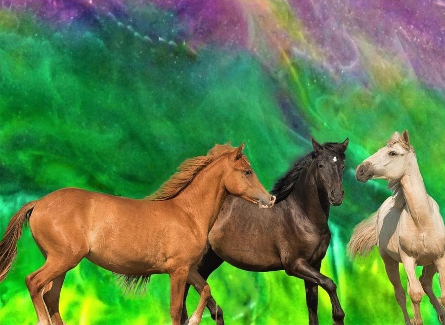 Horse Mixed Media - Horsing Around by Mary Poliquin - Policain Creations